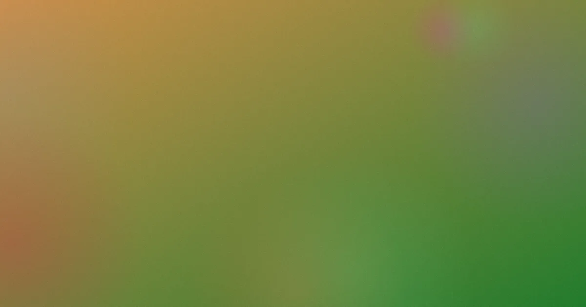 规则怎么用：我的一周实测